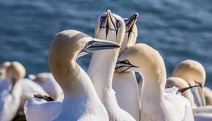 全新DY业务平台：24小时在线下单与快手等级号出售，自助服务尽在掌握！